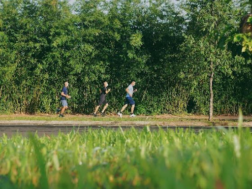Không gian sống xanh tại Thành phố Cà phê